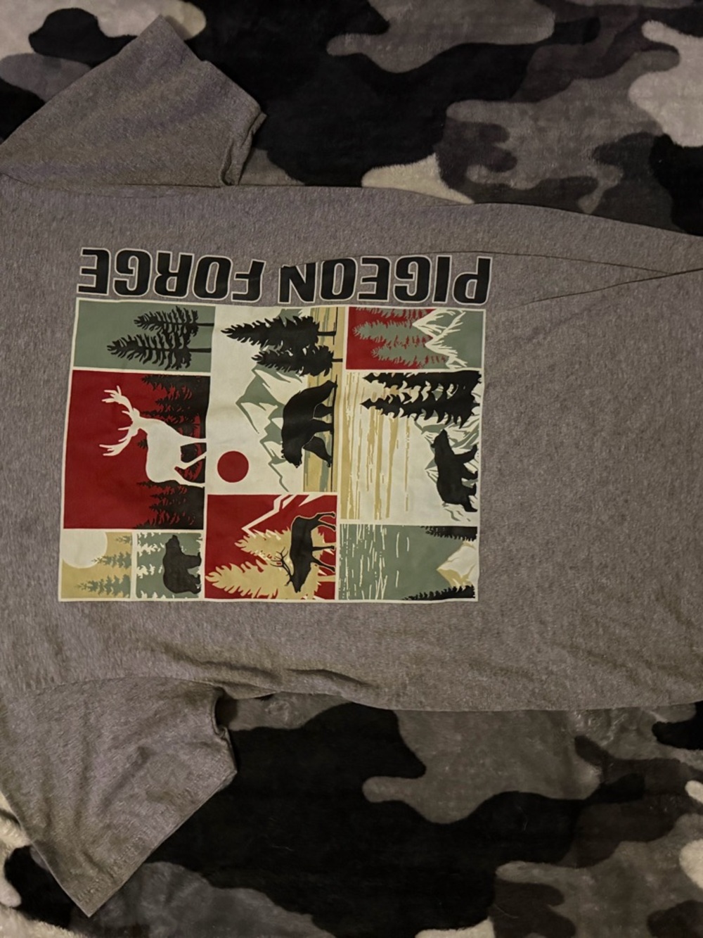 Pigeon Forge Graphic Tee - Grey Nature Scene